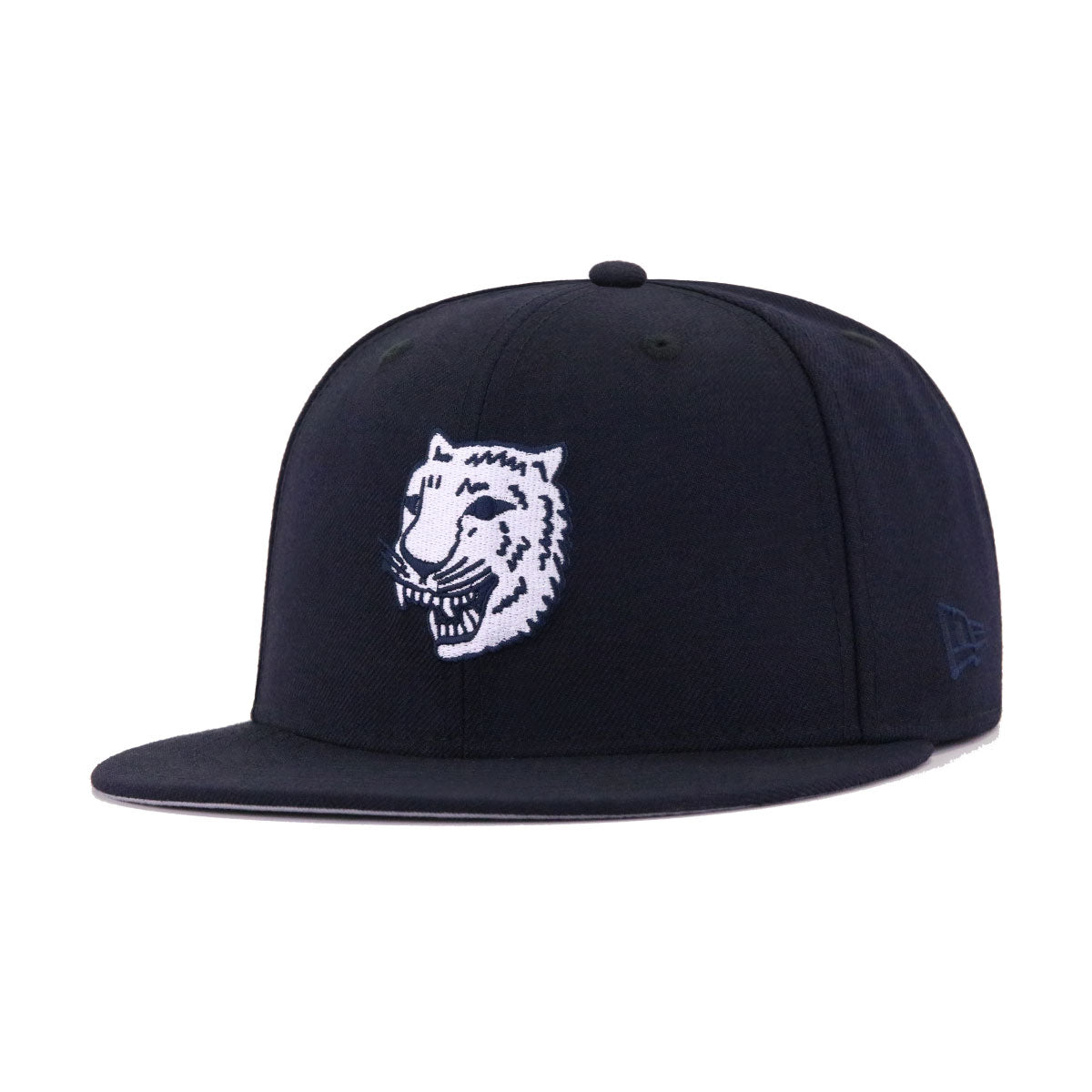 Detroit Tigers Snow Day Blue 59FIFTY Fitted Cap