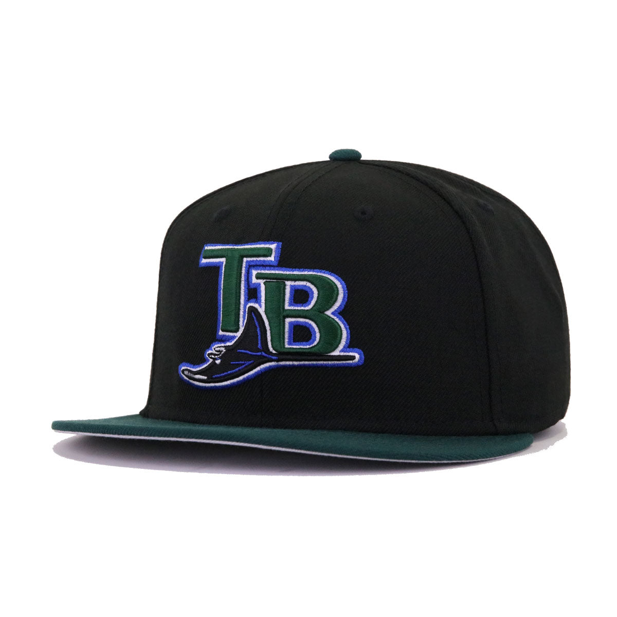 Devil Rays Vintage Snapback Tampa Bay Throwback American Needle