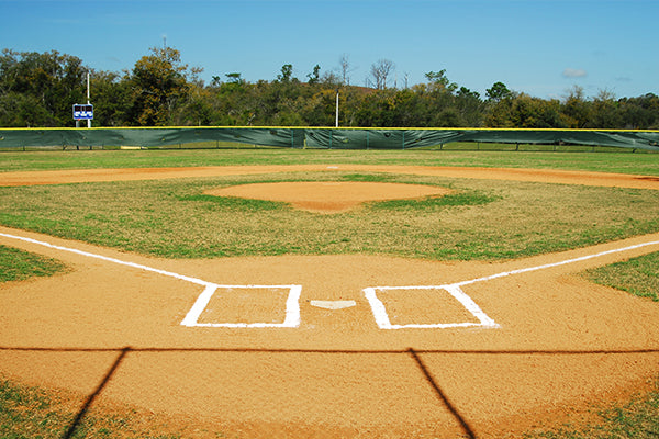 Top 5 Players To Grace The Baseball Field